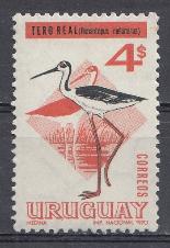 Птицы. Цапля. Уругвай 1970 год.