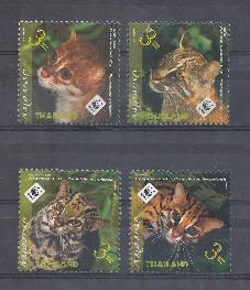 Золотой азиатский кот. 2011 год. Таиланд.