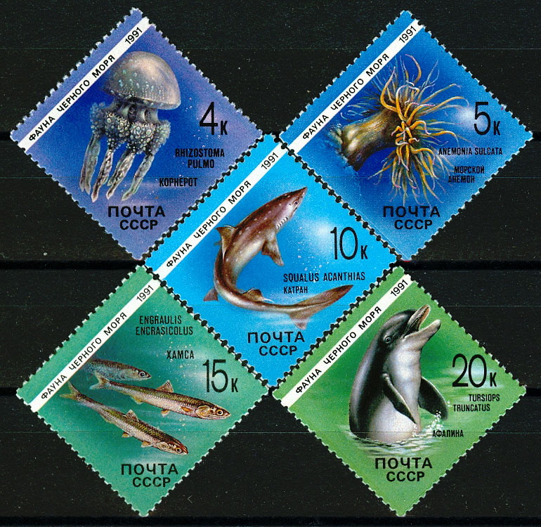 6214-6218. СССР 1991 год. Фауна Черного моря