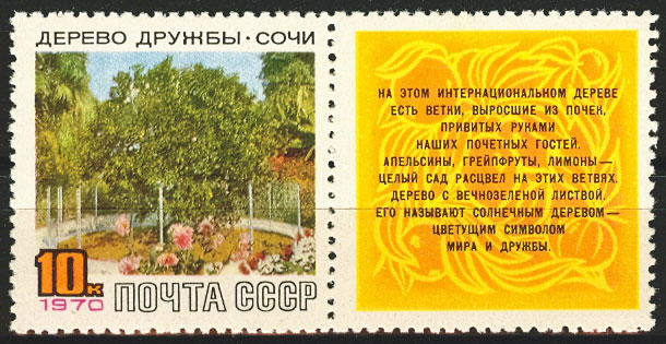 3789. СССР 1970 год. Дерево дружбы в Сочи