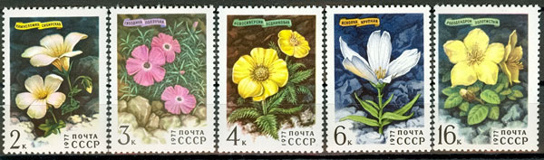 4642-4646. СССР 1977 год. Цветы гор Сибири