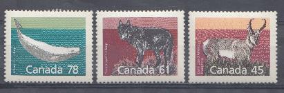 Фауна. Канада. Волк, олень, кит.