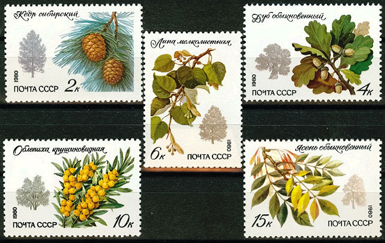 5052-5056. СССР  1980 год. Охраняемые породы деревьев и кустарников