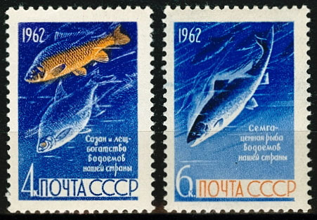 2645-2646. СССР 1962 год. Рыбы