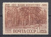 2381 СССР 1960 год. Международный конгресс по охране лесов. Сиэтл (США).  И.И. Шишкин "Корабельная роща".
