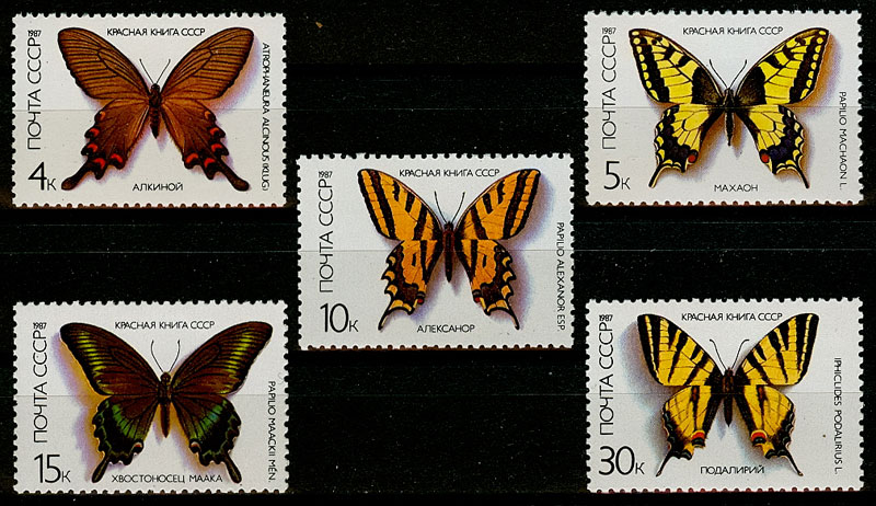 5730-5734. СССР 1987 год. Бабочки, занесенные в Красную книгу СССР