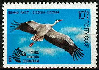 6225. СССР 1991 год. Птицы