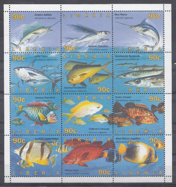 Морская фауна. Либерия. Различные породы рыб.