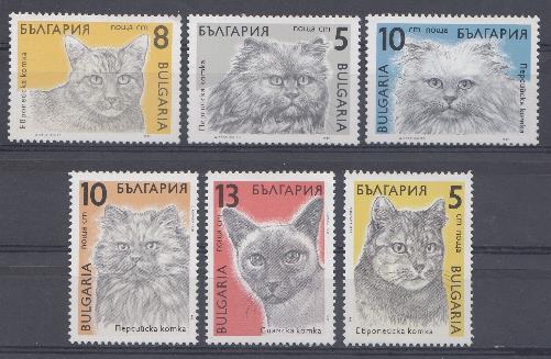 Болгария 1989 год. Кошка персидская, сиамская, европейская.