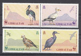Птицы. Гибралтар 1991 год.**