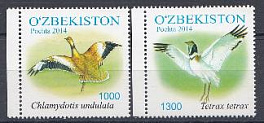 Птицы. Узбекистан 2014 год.