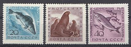 2382- 2384 СССР 1960 год. Фауна СССР. Охрана ценных рыб и морских животных.