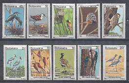 Лесные птицы. 1978 год. Ботсвана.  
