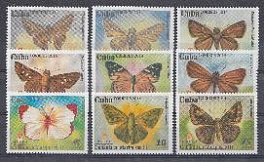 Бабочки. 2014 год. Куба.