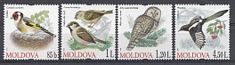 Птицы. Молдова 2010 год. Лесные птицы. 