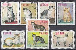 Домашние кошки. Вьетнам 1979 год. 