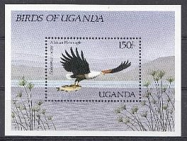 Птицы. Уганда 1987 год. 