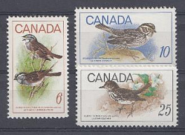 Птицы. Канада. 