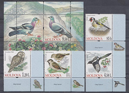 Птицы. Молдова 2010 год. Лесные птицы.