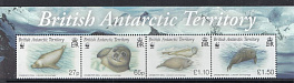 Морская фауна. Тюлени. Британские Арктические Территории 2009 год.