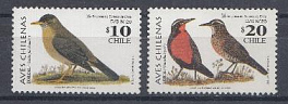 Птицы. Чили 2002 год.