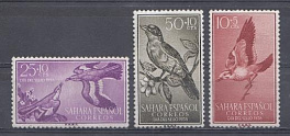 Птицы. Испанская Сахара 1958 год.