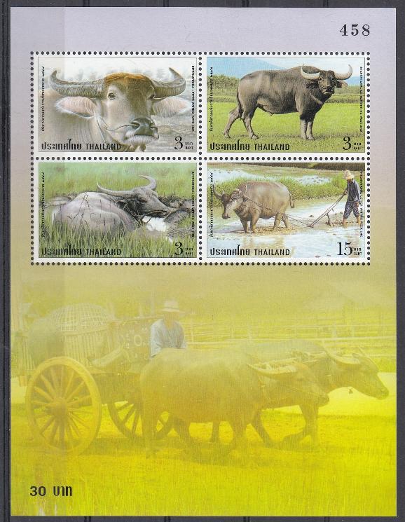 Фауна. Домашние животные. Буйволы. Таиланд 2005 год.