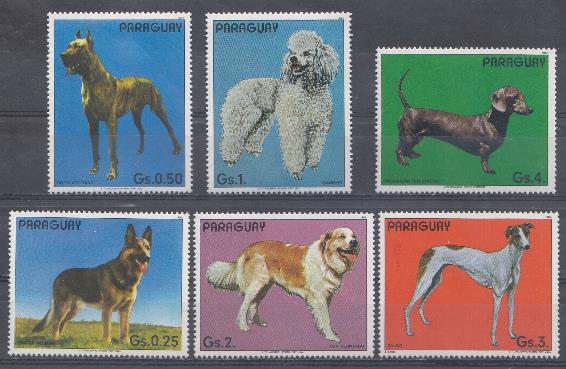 Собаки. Парагвай 1983 год. 