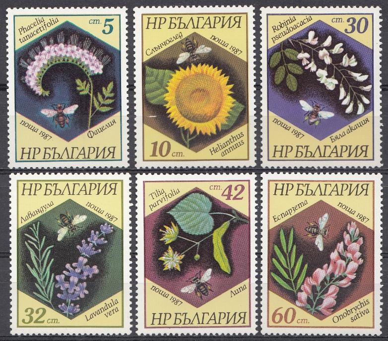 Полевые цветы. Болгария 1987 год. 
