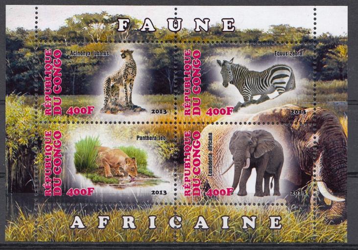 Фауна. Животный мир африканского континента. Р. Конго. 2013 год. Слоны. Львы. Зебра.