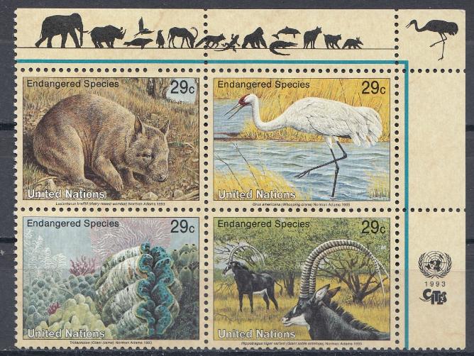 Фауна . ООН  Нью- Йорк 1993 год.