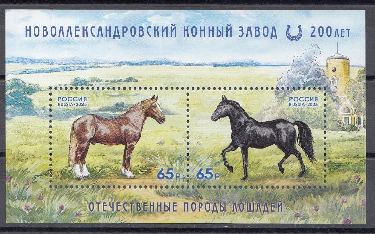 3463- 3464 Россия 2025 год. Отечественные породы лошадей. К  200 -летию Новоалександровского конного завода.