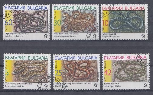 Ядовитые змеи. 1989 год. Болгария.