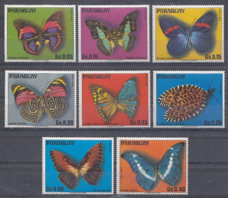 Бабочки. Парагвай .