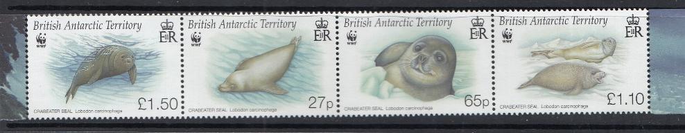 Морская фауна. Тюлень -крабоед. Британские Арктические Территории 2009 год. . 