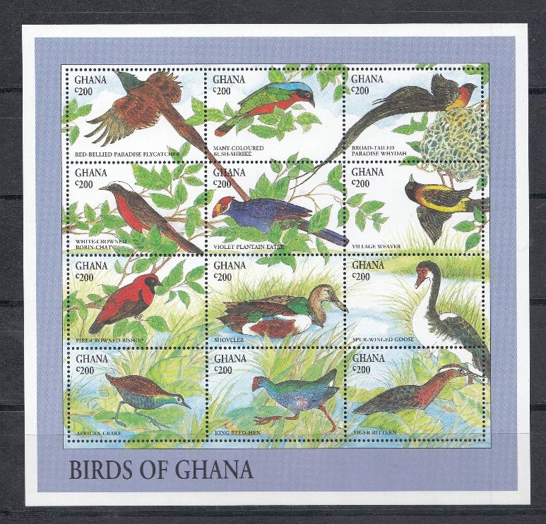 Птицы Ганы. Гана.