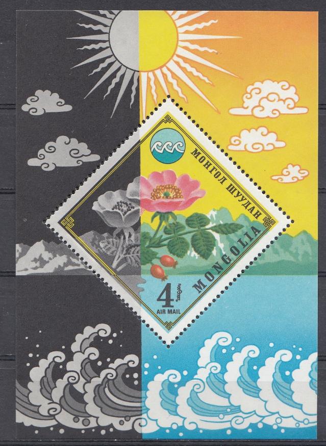 Флора. Шиповник. Монголия 1974 год.
