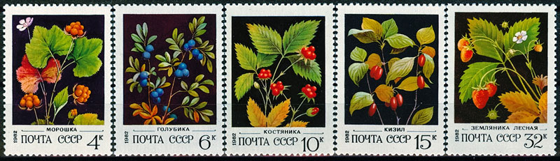 5205-5209. СССР 1982 год. Дикорастущие ягоды