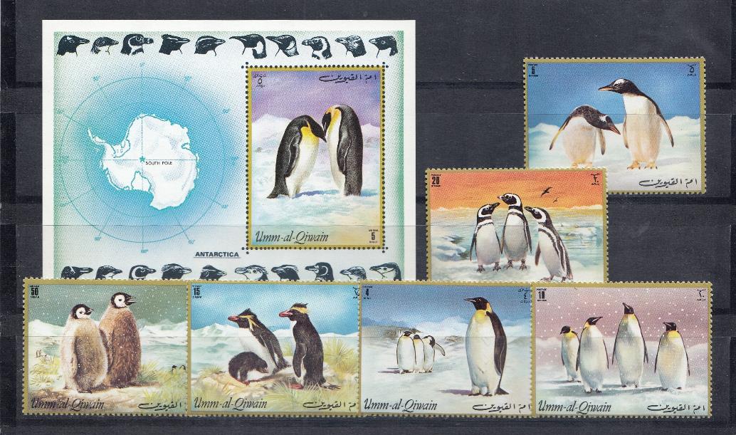 Пингвины. Антарктида. Умм-Эль- Кайвайн.Договорный Оман.