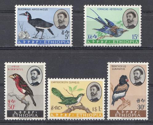 Птицы. Эфиопия.