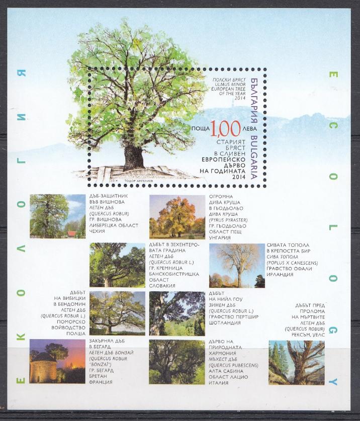 Природа. Экология. Дерево года. Болгария 2014 год.