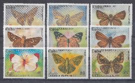 Бабочки. 2014 год. Куба.