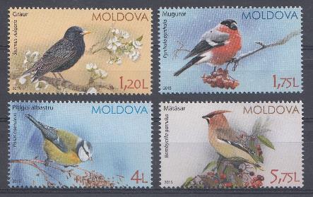Птицы. Молдова 2015 год. 