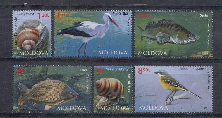 Фауна озёр. Молдова 2014 год. 