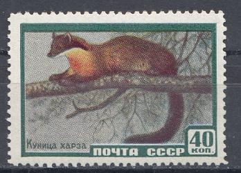 2243  СССР 1959 год. Фауна СССР. Куница харза.