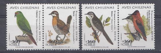 Птицы. Чили 2001 год. 