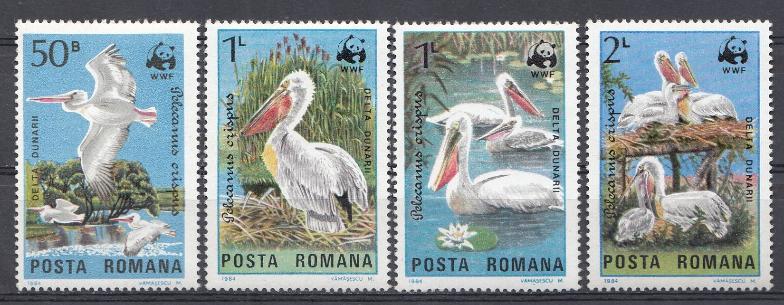 Пеликаны. Озёрные птицы.  Румыния 1984 год. WWF. 