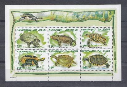 Различные виды черепах. 1998 год. Нигер.