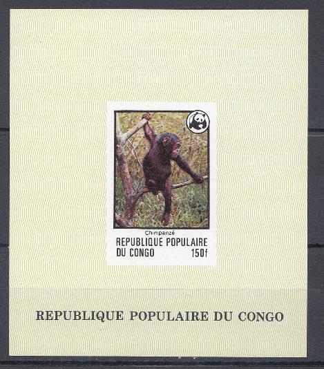 Фауна. ДР Конго. Шимпанзе. WWF.