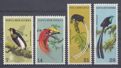 Птицы. Папуа Новая Гвинея. Экзотические птицы.